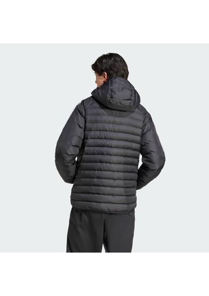 Originals IZ1842 Synthetic Hooded Jacket fiyatları