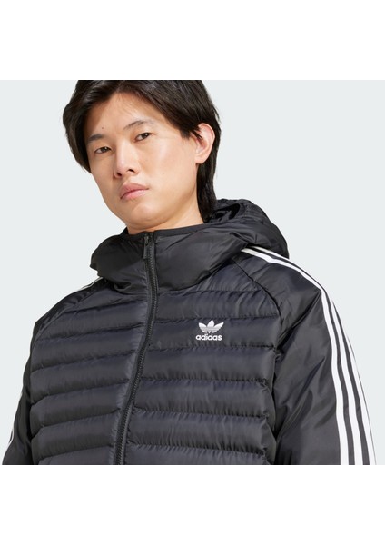 Originals IZ1842 Synthetic Hooded Jacket fırsatları