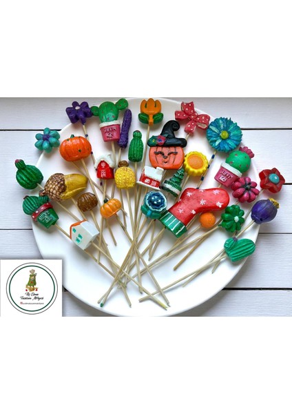 2 Adet Sukulent Saksı-Aktivite-Çocuk Gelişim-Sanat-Hediye-Okul Öncesi-Hobi-Aile Etkinlik