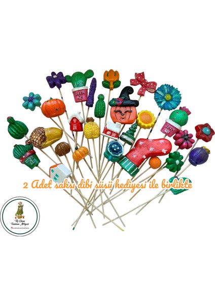 2 Adet Sukulent Saksı-Aktivite-Çocuk Gelişim-Sanat-Hediye-Okul Öncesi-Hobi-Aile Etkinlik