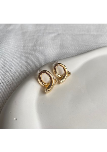 Kadın Küpe Döngü Küpe