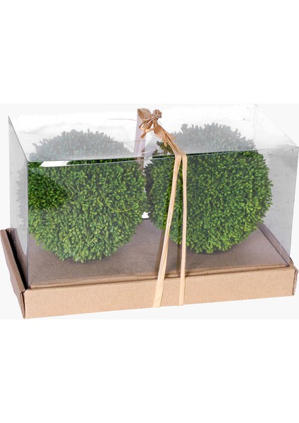 2'li Yuvarlak Bitki Dekor Set 29.5X15X16.5CM