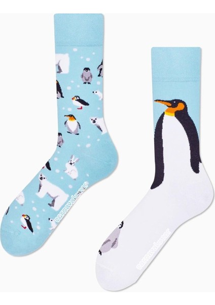 Sağlı Sollu Penguen Desenli Soket Çorap