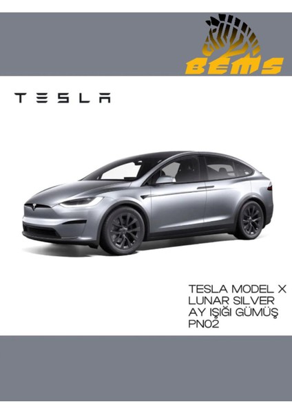 Tesla Lunar Silver (Ay Işığı Gümüş) Rötüş Sprey Boya 400ML