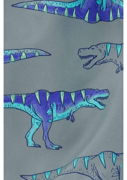 Erkek Çocuk Şort Mayo