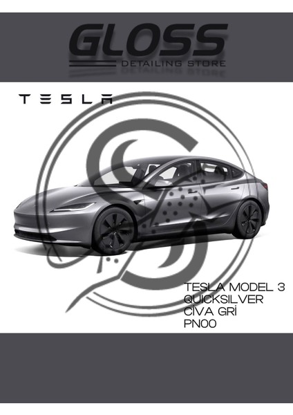 Tesla Model 3 Quicksilver (Civa Grisi) PN00 - Profesyonel Rötuş Boyası 30ML.