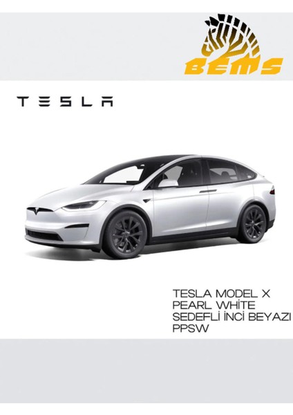 Tesla Pearl White (Sedefli Inci Beyazı) Rötüş Sprey Boya 400ML fiyatları