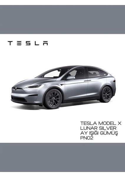 Tesla Model x Lunar Silver (Ayışığı Gümüş) PN02 - Profesyonel Rötuş Boyası 30ML.