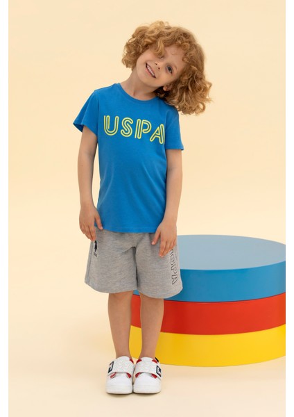 Erkek Çocuk Saks Tişört Basic 50266039-VR045 fiyatları