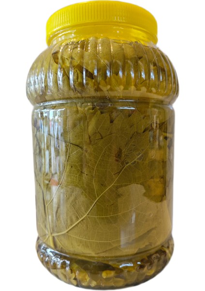 Salamura Asma Yaprağı