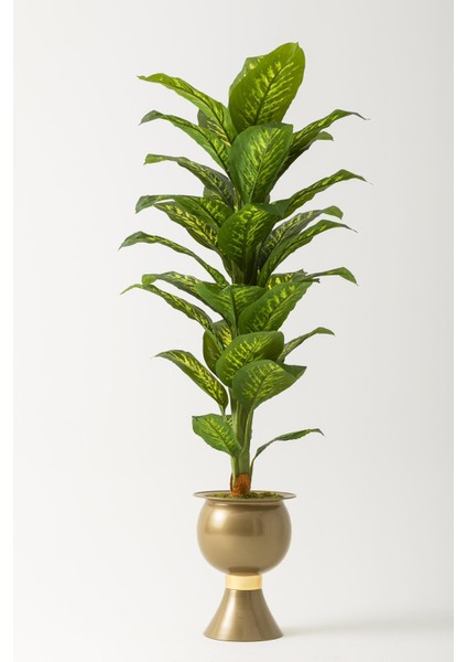 Yapay Difenbahya Ağacı 160 cm Gold Balon Saksı