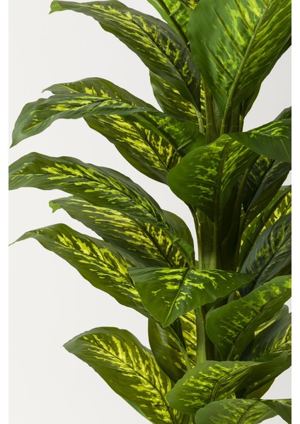 Yapay Difenbahya Ağacı 160 cm Gold Balon Saksı fiyatları