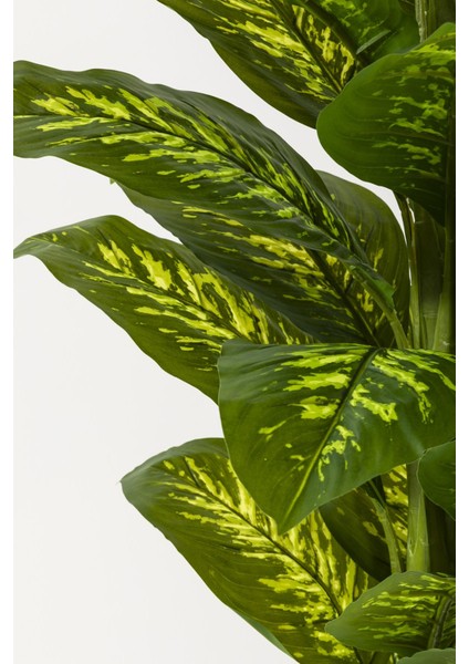 Yapay Difenbahya Ağacı 160 cm Gold Balon Saksı modelleri