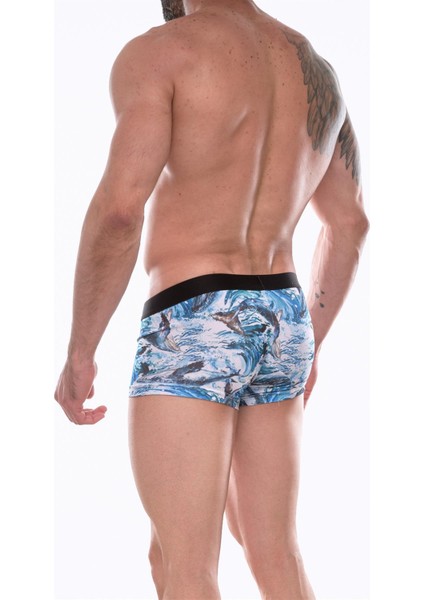 Erkek Desenli Boxer fiyatları