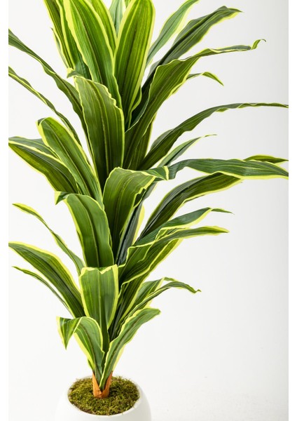 Yapay Dracaena Fragrans Ağacı 100 cm Beyaz Küre Saksı modelleri
