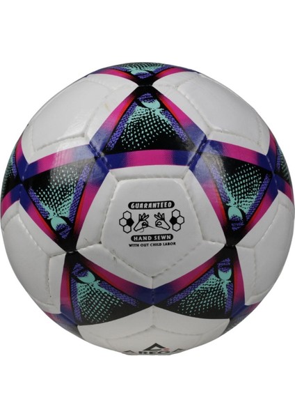 Futbol Antrenman Topu TSB-41052 02