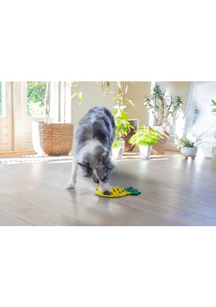 Yavru Köpek Yaş Mama Yeme Oyuncağı, Ananas Şeklinde,silikon, Sarı, 20X20CM Dpmah indirimleri
