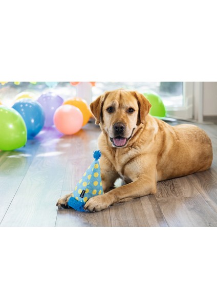 Köpek Oyuncağı, Şapka, Peluş, Mavi, 22X14X14CM Dpmah fırsatları