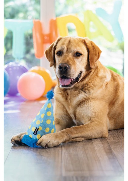 Köpek Oyuncağı, Şapka, Peluş, Mavi, 22X14X14CM Dpmah indirimleri