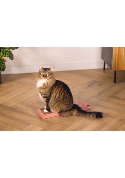 Kedi Karton Tırmalama, Pembe, 45CM Dpmah fiyatları