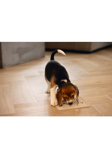 Yavru Köpek Yaş Mama Yeme Oyuncağı, Kare, Silikon, Gri, 20X20CM Dpmah indirimleri