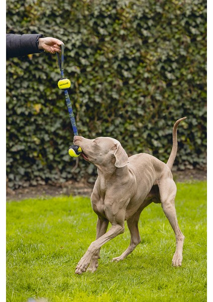 Köpek Oyuncağı, Yüzen, Tutamaçlı Iki Tenis Topu, Mavi/sarı, 44X6,3X6,3CM Dpmah fiyatları