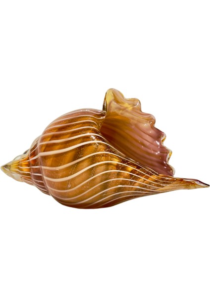 Karamel Cam Deniz Kabuğu Dekor modelleri