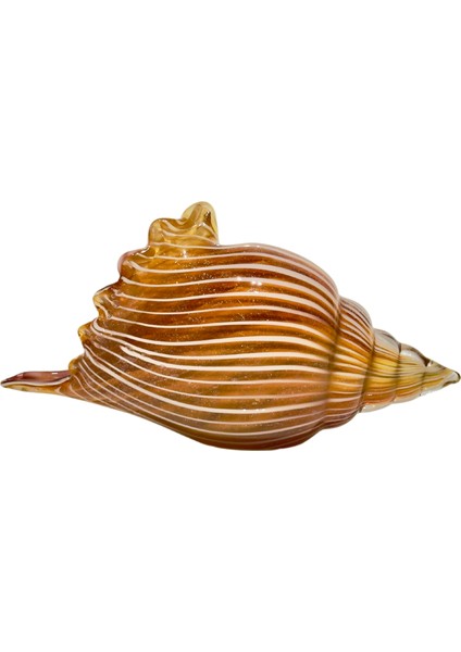 Karamel Cam Deniz Kabuğu Dekor fırsatları