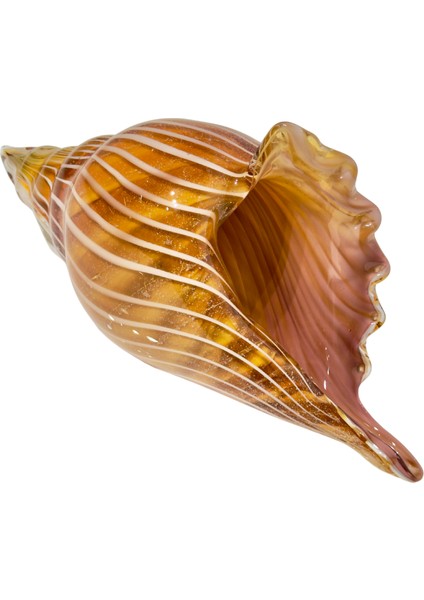 Karamel Cam Deniz Kabuğu Dekor indirimleri