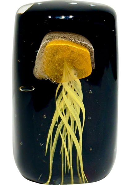 Neon Turuncu Deniz Anası Dekor fiyatları