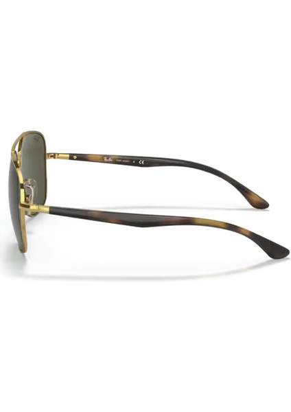 RB3683 001/31 56-15-135 Erkek Güneş Gözlüğü fiyatları