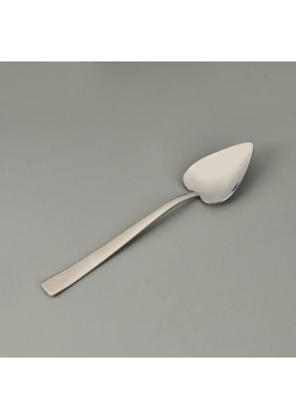 Can Canan 12'li Sade Tatlı Çatal Kaşık Takımı - Gri - 16,2 cm fiyatları