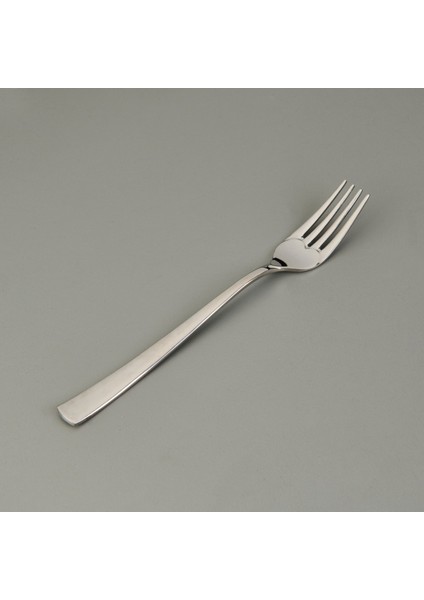 Can Canan 12'li Sade Tatlı Çatal Kaşık Takımı - Gri - 16,2 cm modelleri