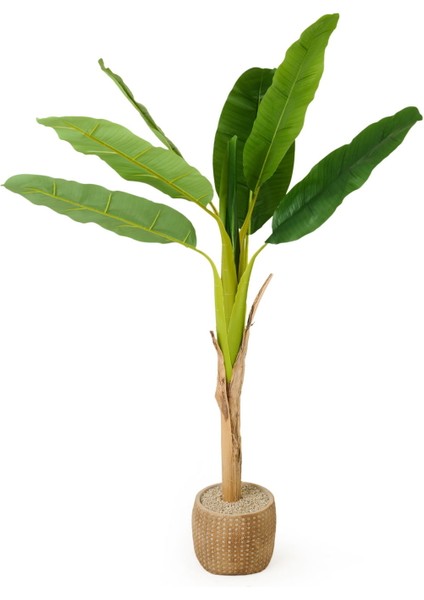 Hasır Efekt Saksıda Muz Ağacı - Renkli - 130 cm