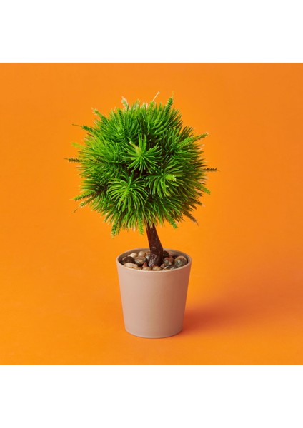 Dekor Top Yapay Çam - - 12X18 cm