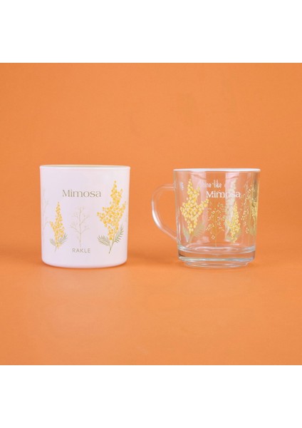 Mimosa Kupa ve Mum Seti - Renkli - 250 ml