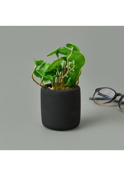 Mini Pot Soft Yaprak Saksılı Çiçek - - 8X6X6 cm