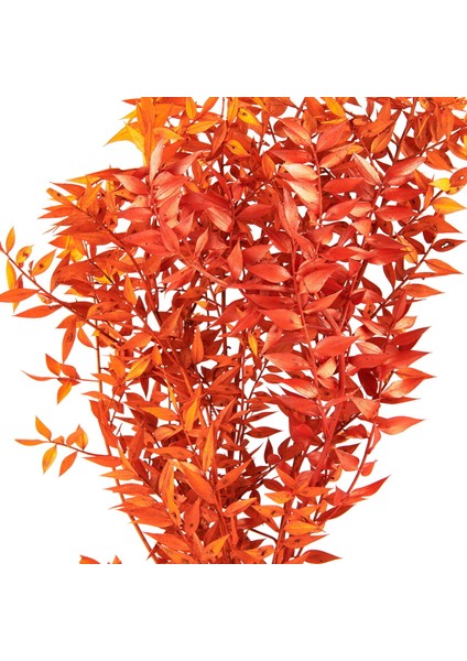 Ruscus Yapay Çiçek - Turuncu - 50X20 cm