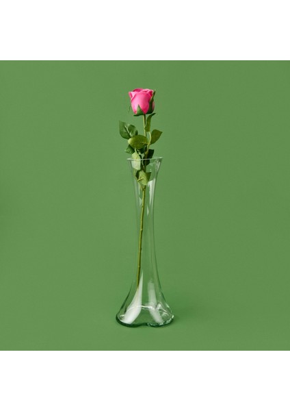 Time Islak Gül Dalı - - 50 cm
