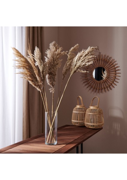 Pampas Yapay Çiçek - Bej - 90X20 cm