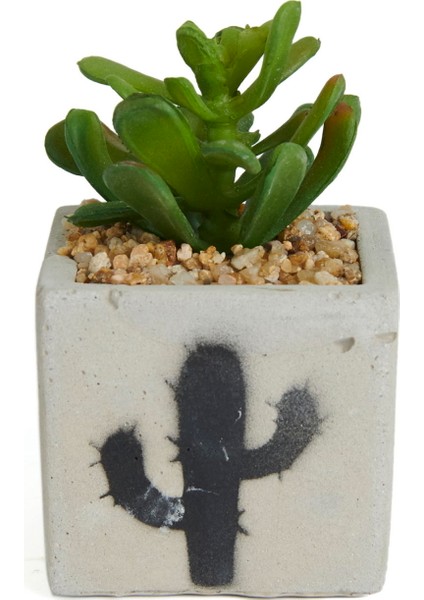 Beton Saksıda Yapay Sukulent - - 7X10 cm