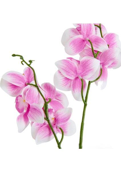 Beton Saksıda Real Touch Orkide - Pembe - 12X35 cm fiyatları