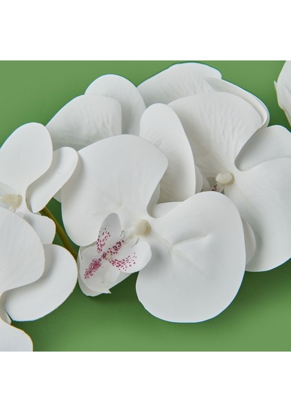 Exclusive Orkide Yapay Çiçek - Beyaz - 105 cm modelleri