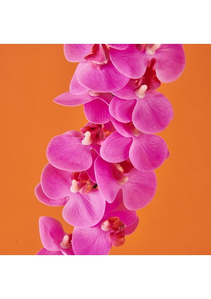 Orkide Yapay Çiçek - Pembe - 58 cm fiyatları