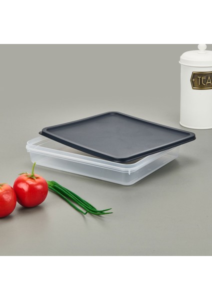Alfa Derin Dondurucu Saklama Kabı - - 2600 ml