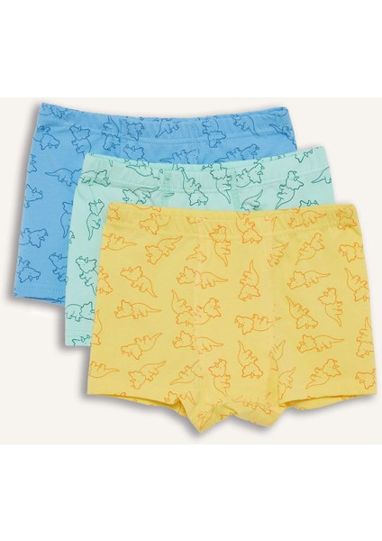 Erkek Çocuk Desenli 3'lü Boxer E6877A825SP