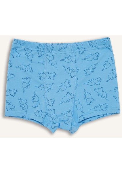 Erkek Çocuk Desenli 3'lü Boxer E6877A825SP
