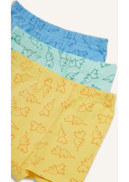 Erkek Çocuk Desenli 3'lü Boxer E6877A825SP
