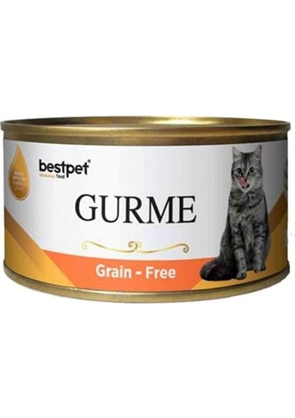 Best Pet Gurme Jöleli Somonlu Yetişkin Konserve Kedi Maması 100 gr
