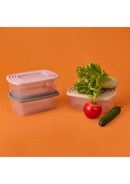 4'lü Plastik Saklama Kabı -